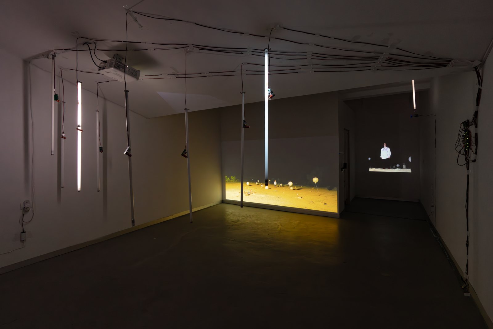Installation view